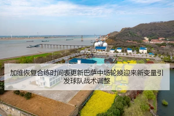 加维恢复合练时间表更新巴萨中场轮换迎来新变量引发球队战术调整